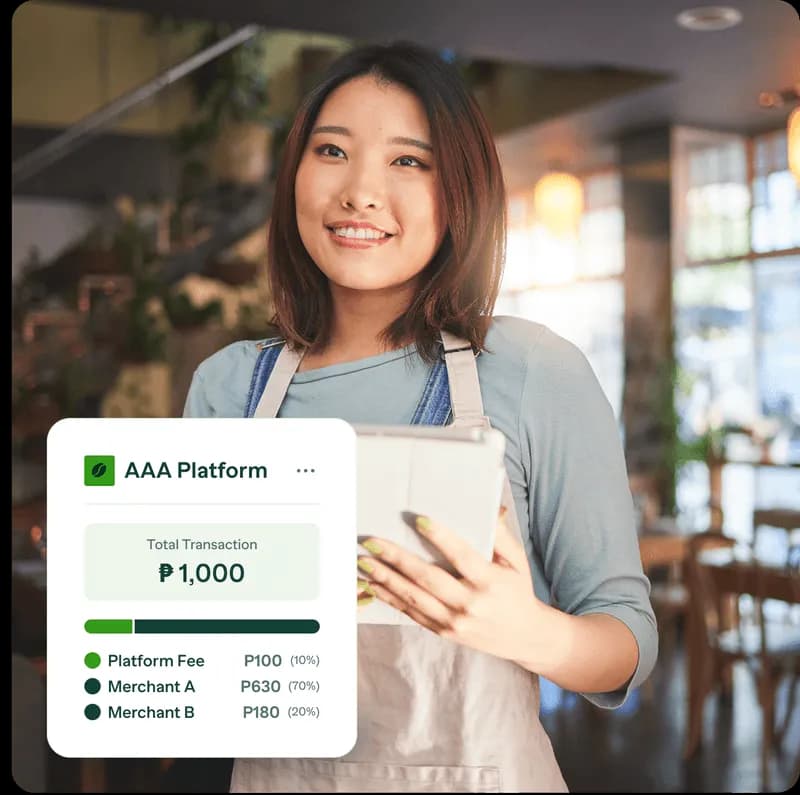 PayMongo Platforms dashboard